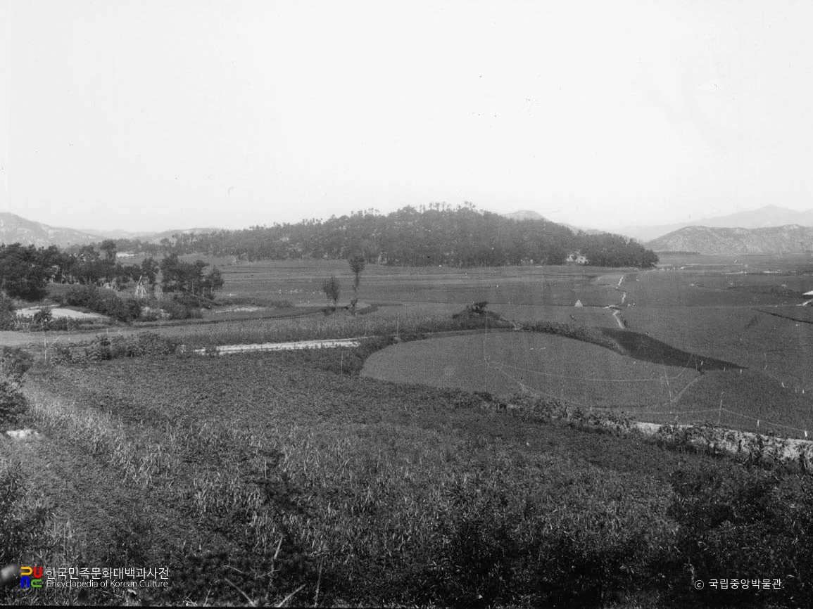 부여 청산성 전경