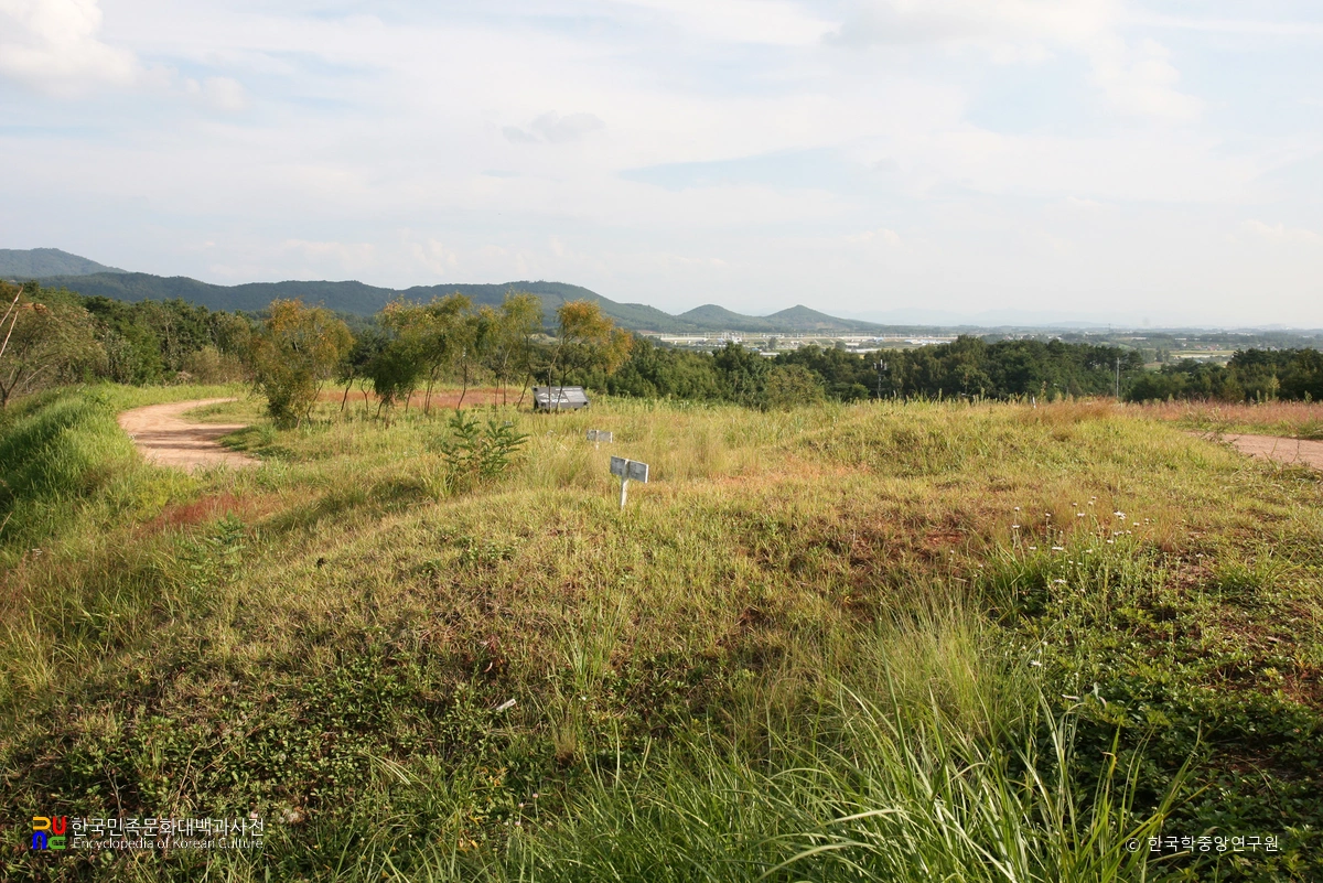 공주 장선리 유적