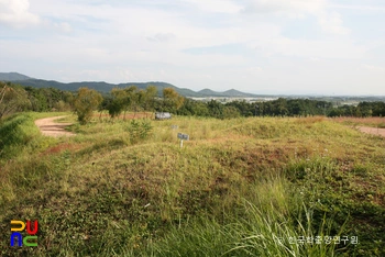 공주 장선리 온라인 슬롯 추천