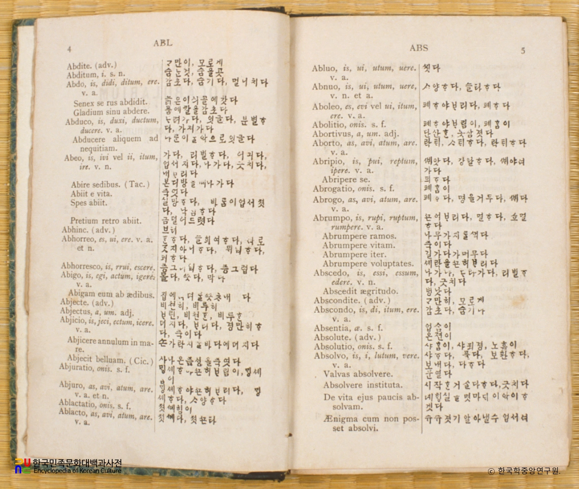 나한소사전