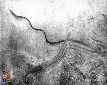 평남 강서 강서중묘 현실 동벽 청룡(파노라마)