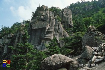 슬롯 머신 구매