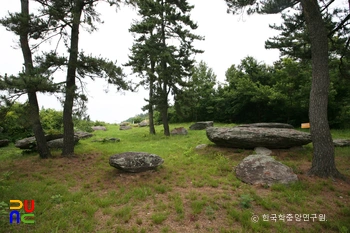 고흥 중산리 지석묘군 전경