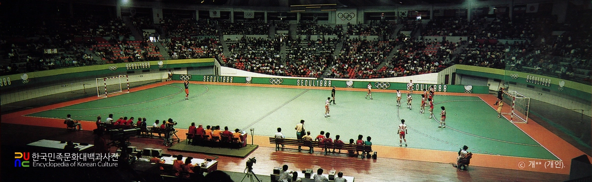 서울올림픽대회 / 핸드볼