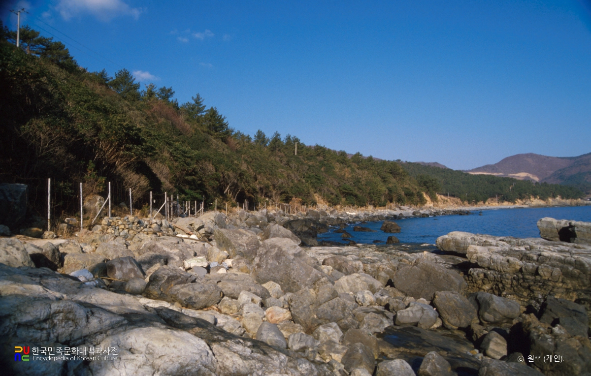 거제 학동리 동백나무 숲 및 팔색조 번식지