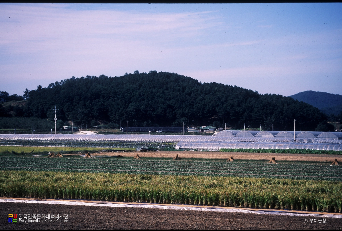 부여 청산성 전경