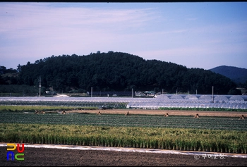 부여 청산성 전경