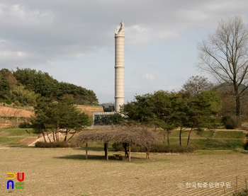 장성 황룡 전적