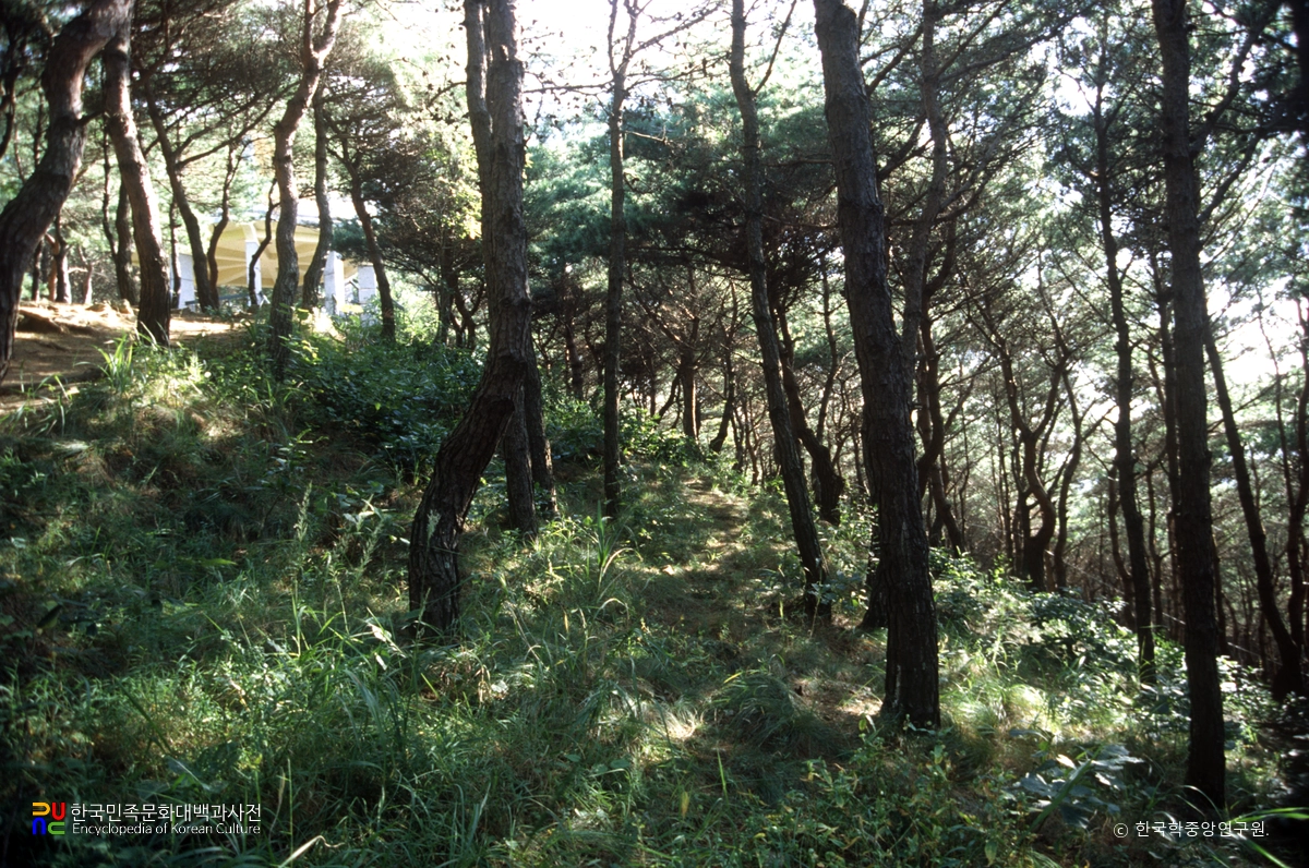 서산 북고산성 전경