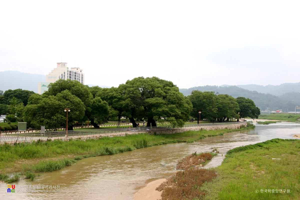 성주 경산리 성밖숲