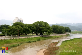 성주 경산리 성밖숲