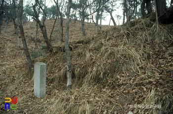 부여 쌍북리 요지 전경