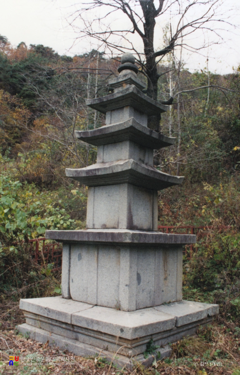 청양 도림사지 삼층석탑