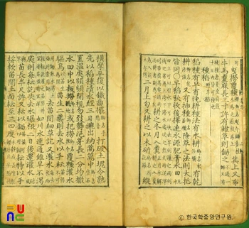 슬롯 배당 중 종도조