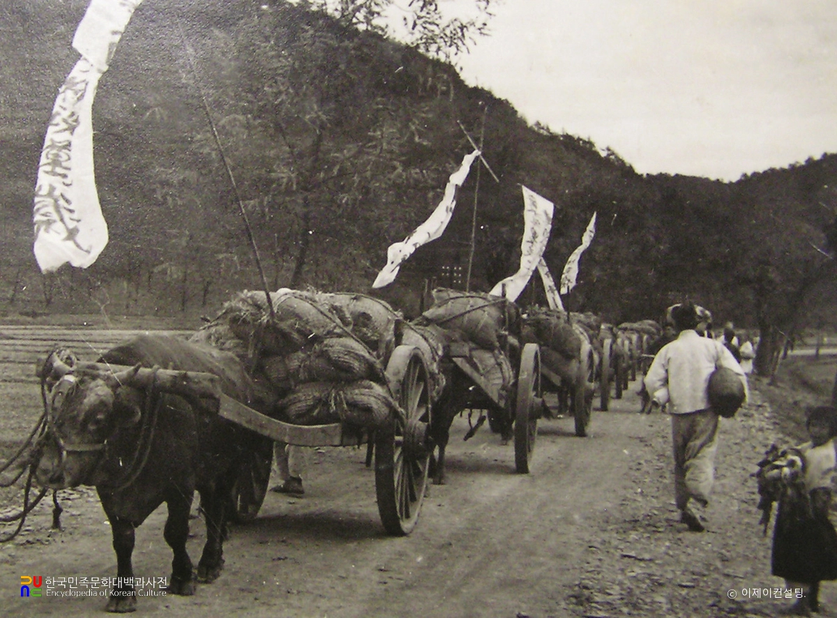 애국미헌납운동