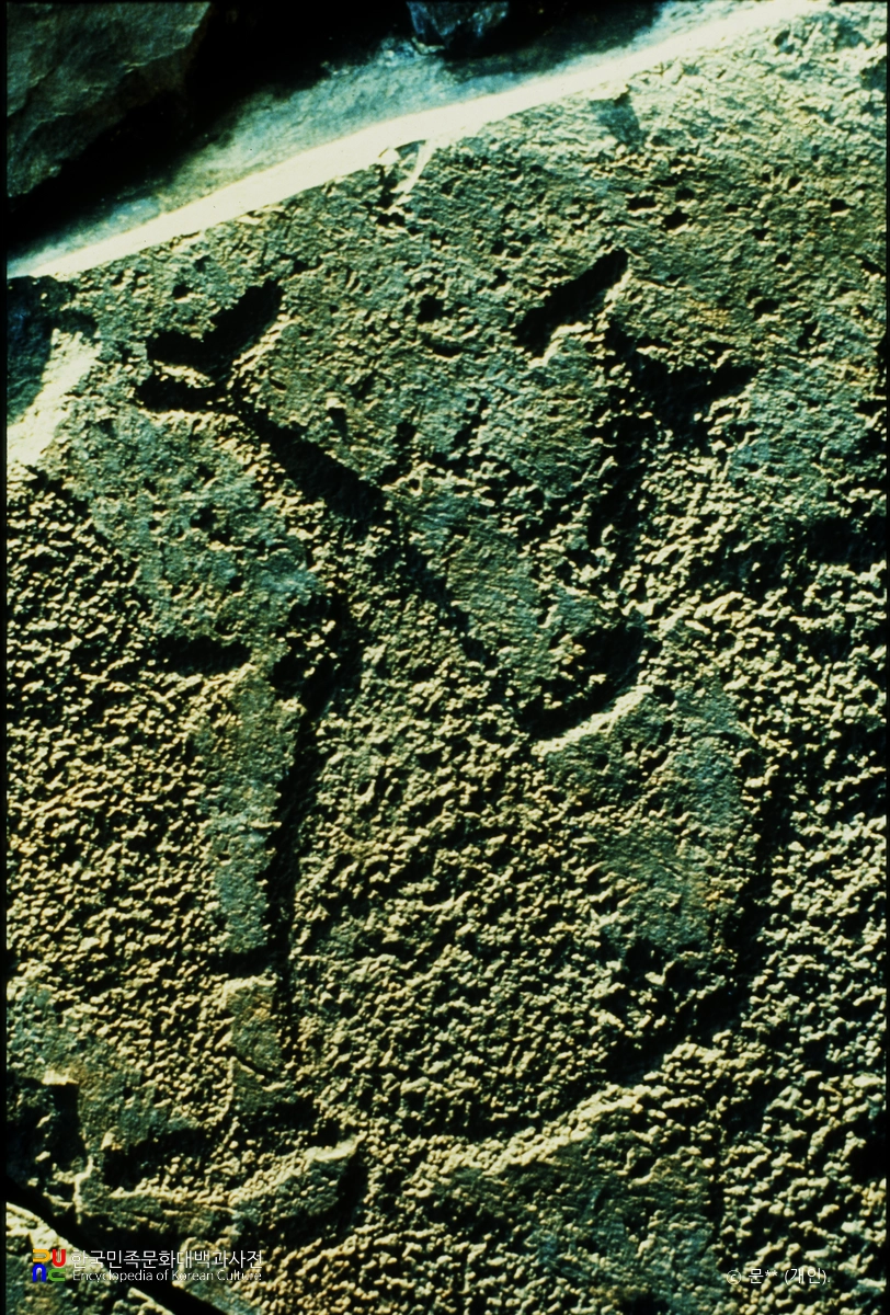 울주 대곡리 반구대 암각화 세부 모습