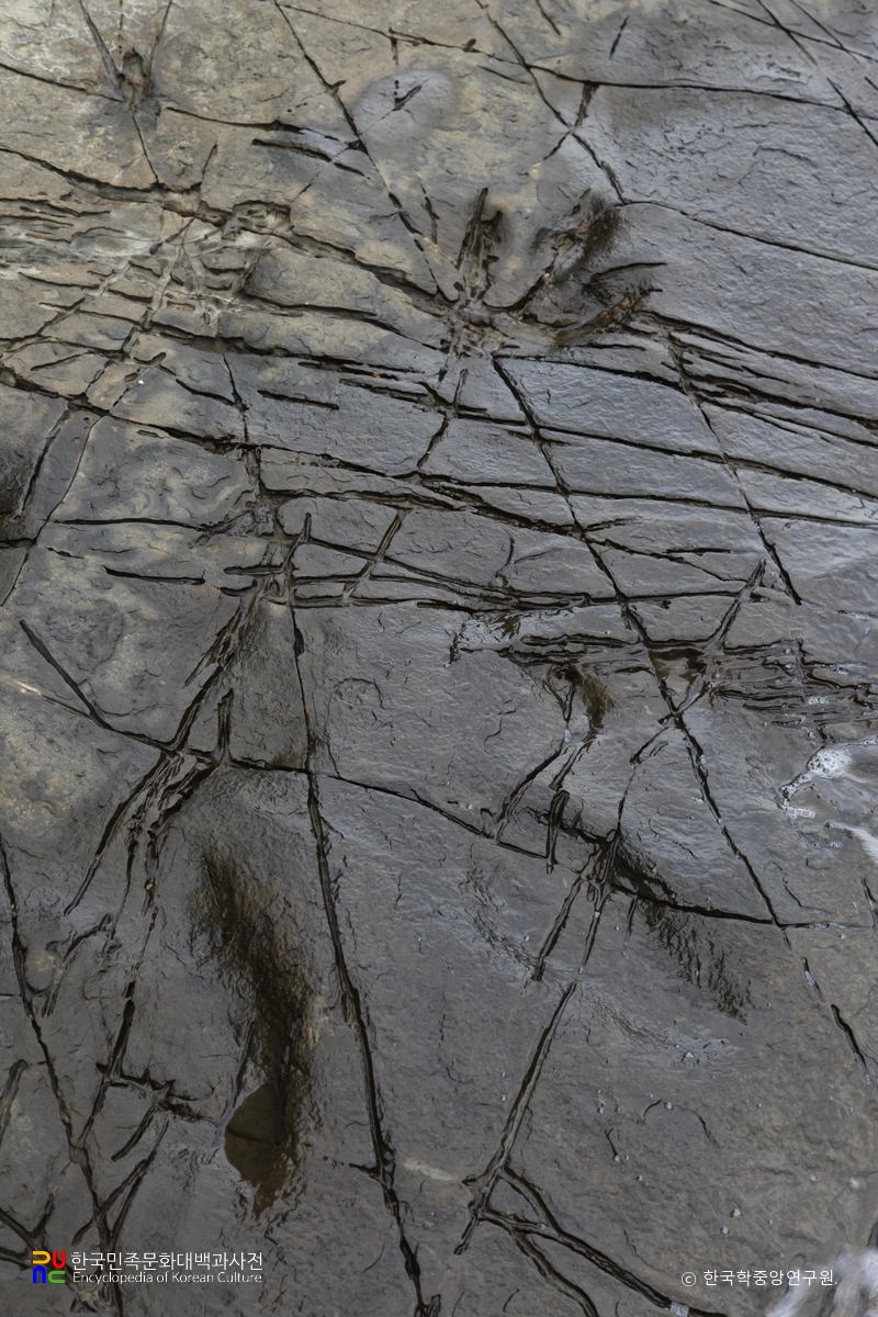 남해 가인리 화석산지