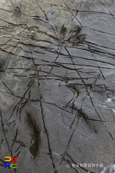 남해 가인리 화석산지