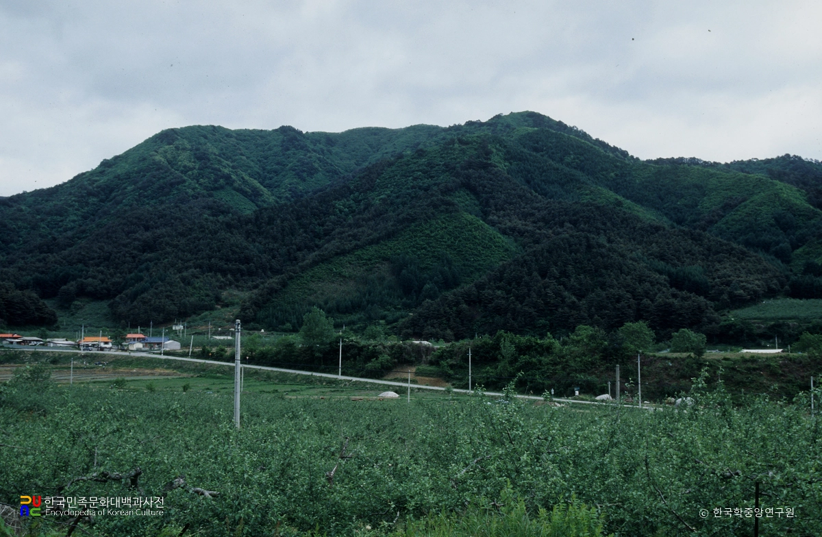 구운산