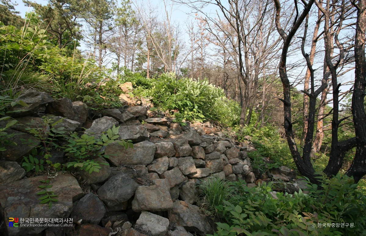 대전 마산동 산성 성벽