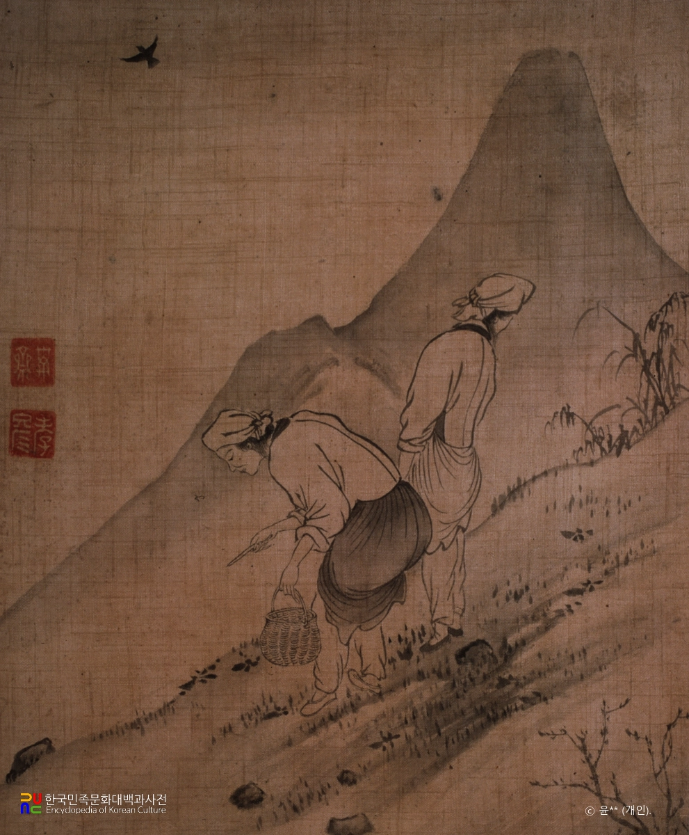 해남윤씨가전고화첩 / 채애도 / 윤두서