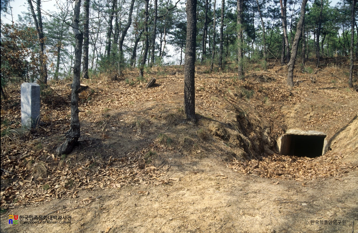 공주 신관리 석실 고분
