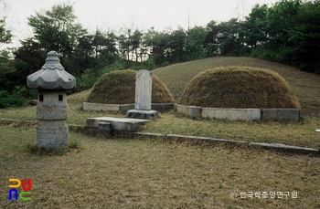 남양주 덕흥대원군 묘 정측면