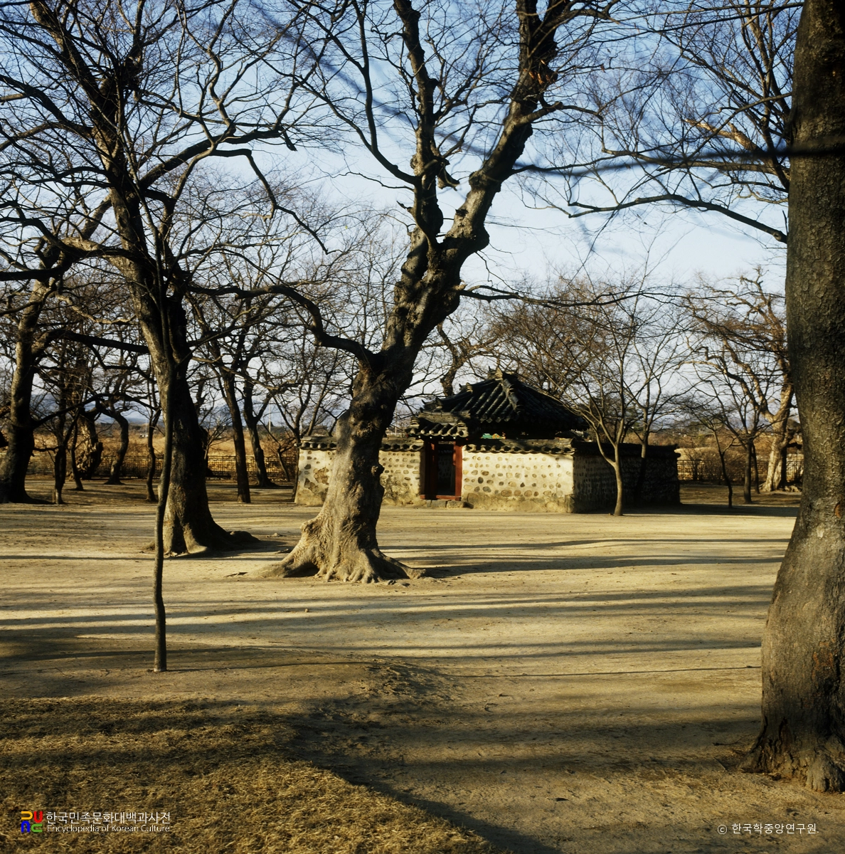 경주 계림 중 비각 전경