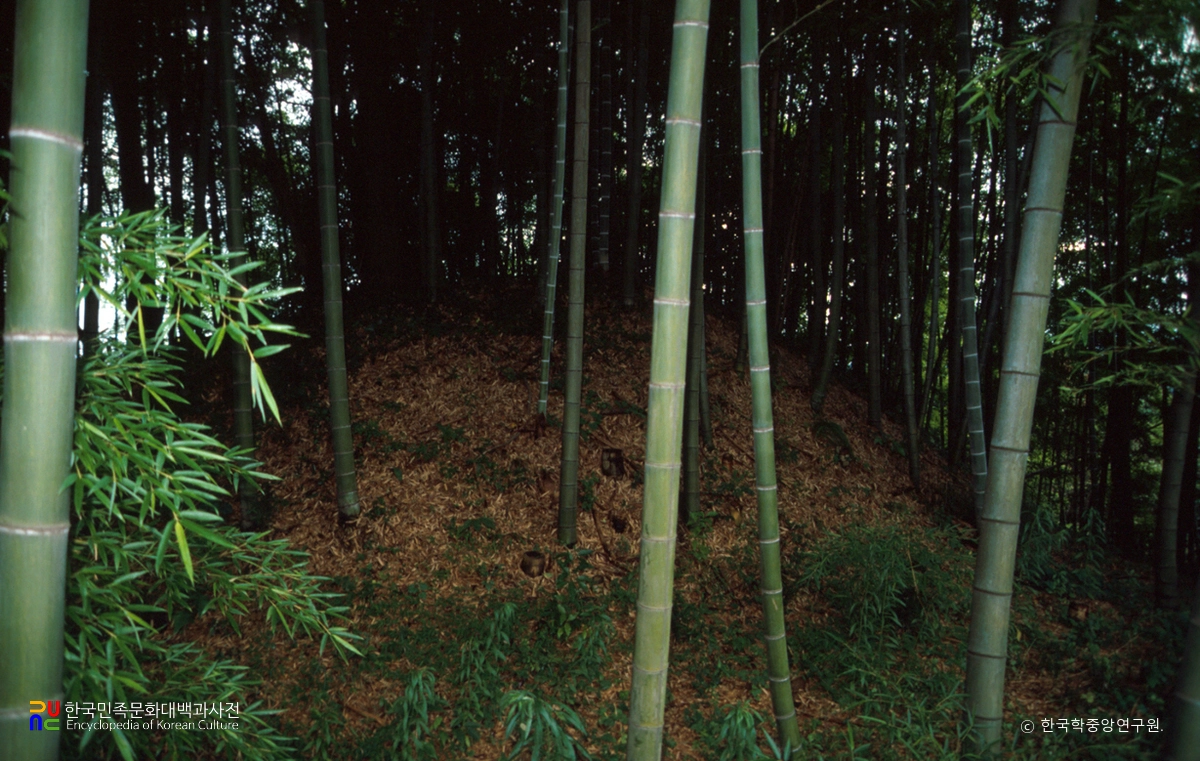 나라 다카마쓰총 고분 후면