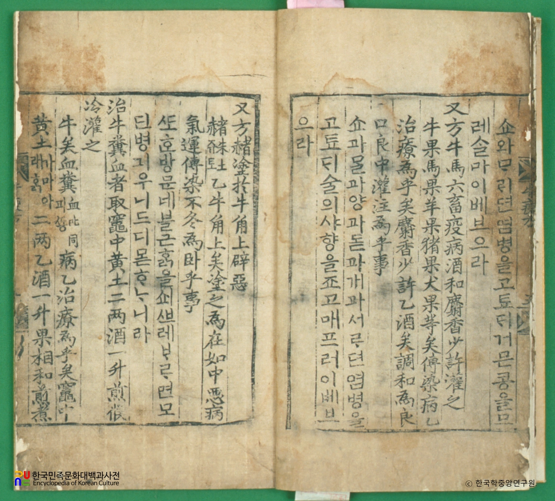 우마양저염역병치료방