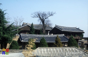 영천향교 전경