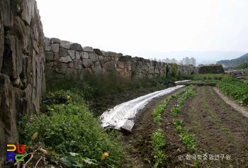 울주 언양읍성 성벽