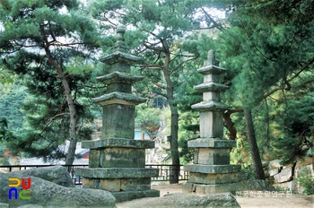 옥천 용암사 동ㆍ서 삼층석탑 전경