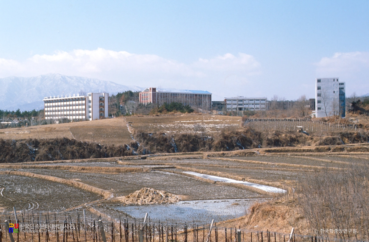 김천보건전문대학