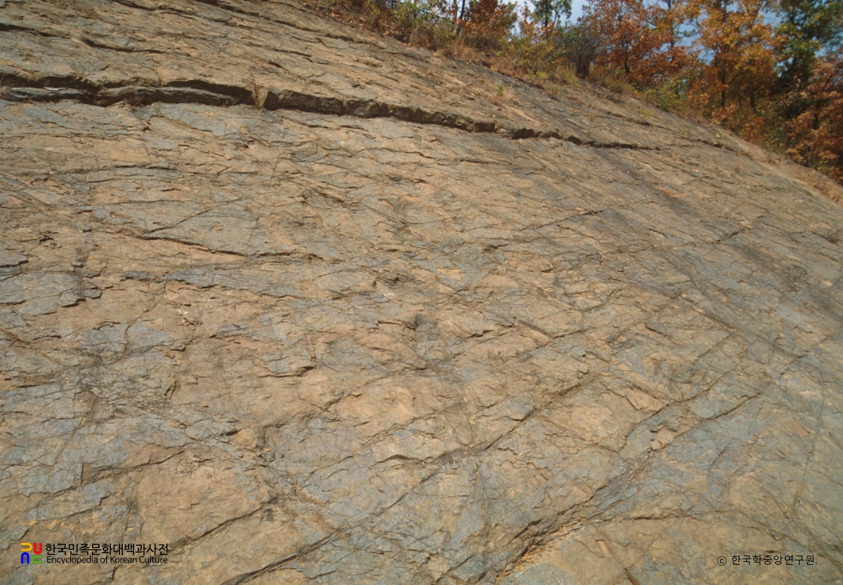 의성 제오리 공룡발자국화석 산지 세부