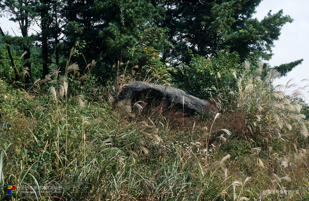 나주 노동리 고인돌