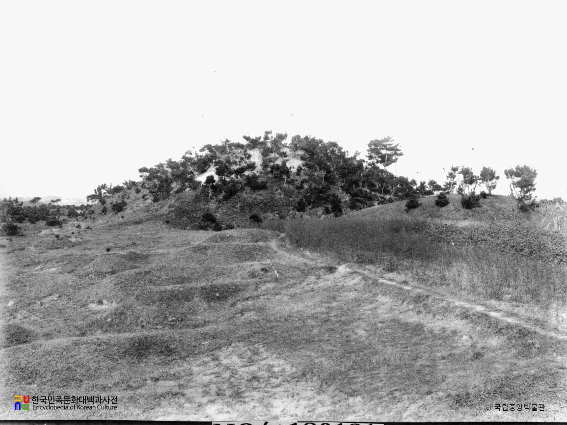 나주 반남 고분군 중 대안리 9호분 전경