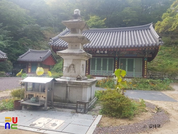 경주 금곡사 경내