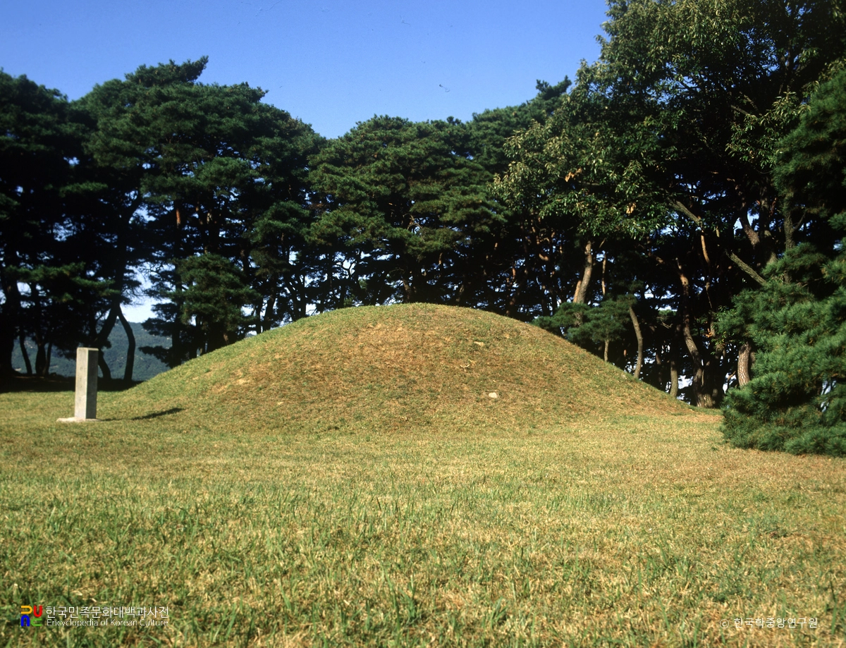 경주 신라 신무왕릉 좌측면