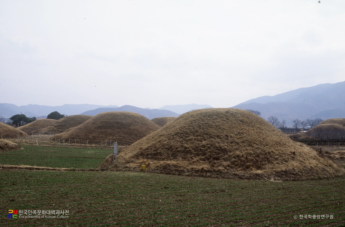 경주 금척리 고분군 전경