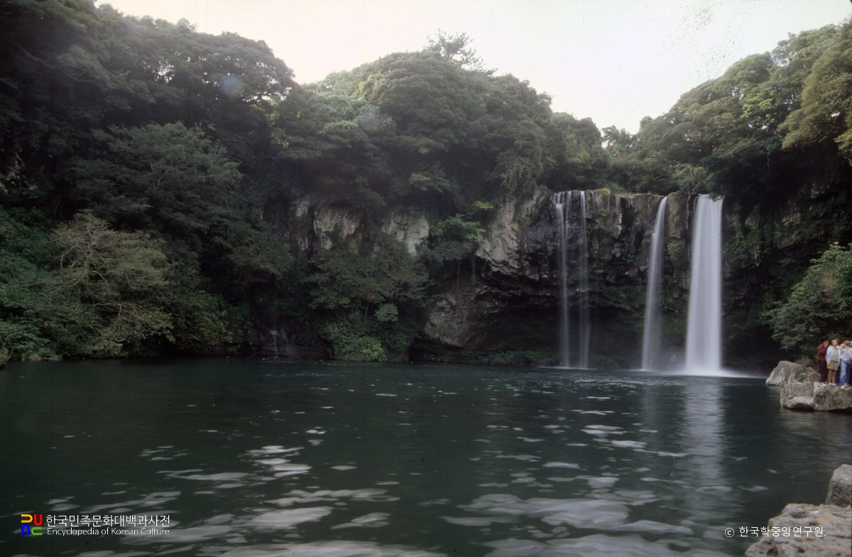 제주 무태장어 서식지