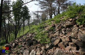 대전 마산동 산성 성벽