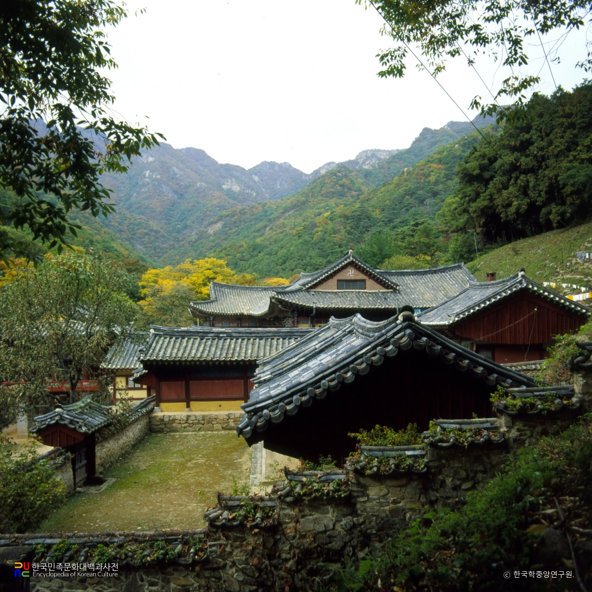 공주 동학사 일원