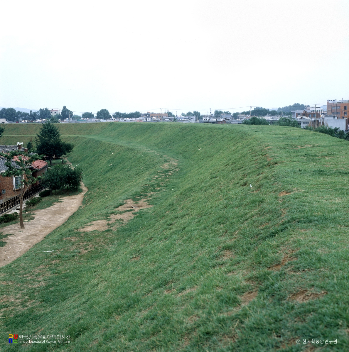 서울 풍납동 토성 성벽