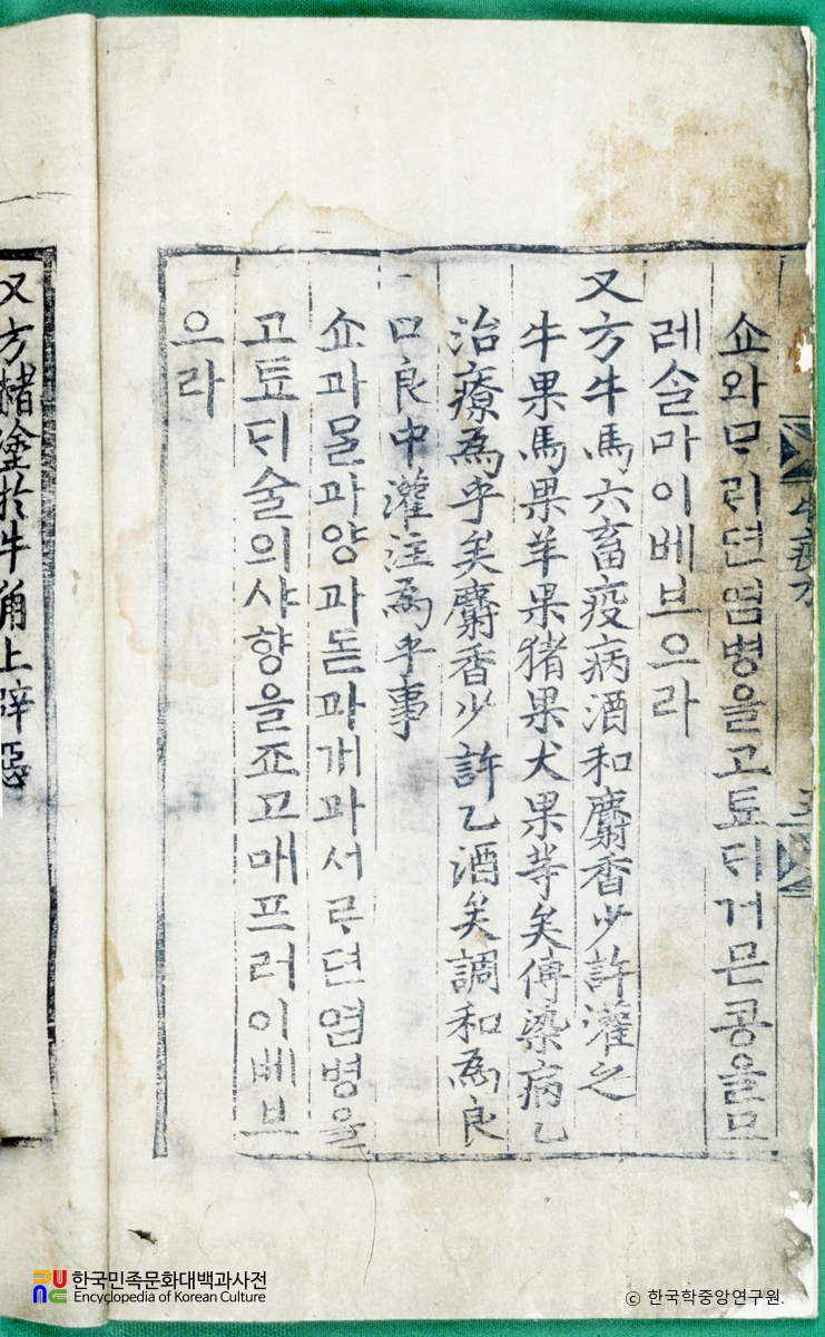 우마양저염역병치료방