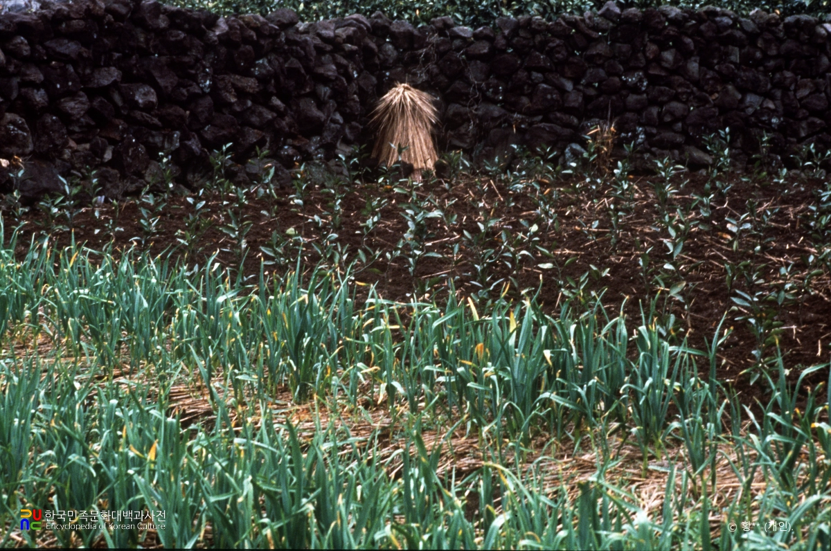 칠성신앙 / 밖칠성