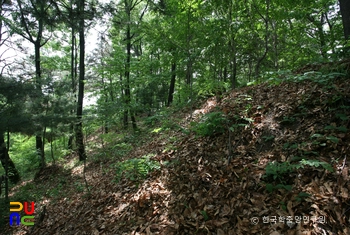 대전 구성동 산성 전경