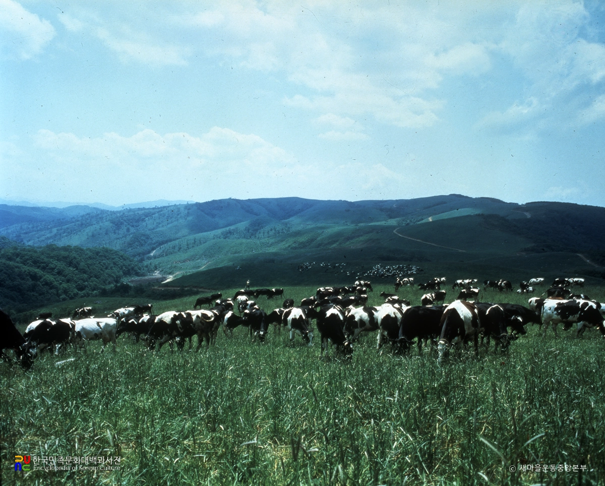 삼양라운드스퀘어
