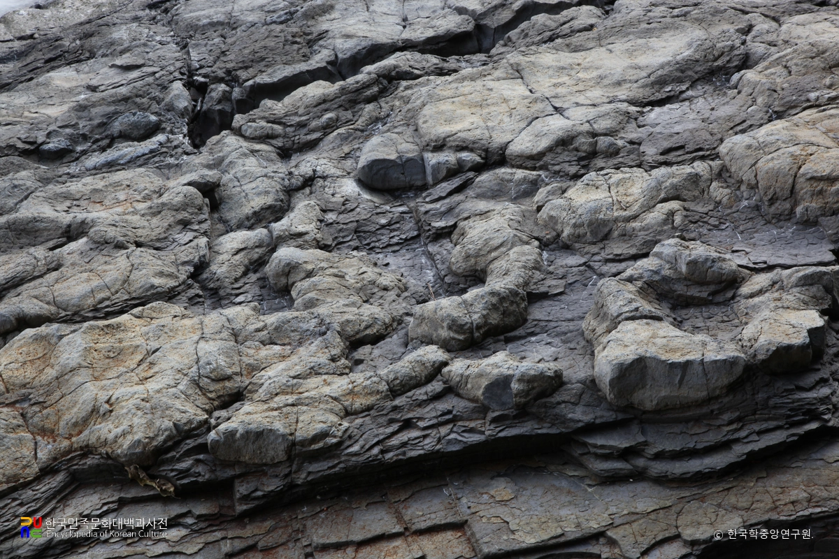 남해 가인리 화석산지