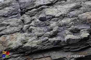 남해 가인리 화석산지